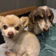 つかさ 今年もあと今日明日で。 即トク奥さん