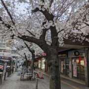 ヒメ日記 2026/04/03 21:10 投稿 つかさ 即トク奥さん