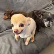 つかさ こんばんは。 即トク奥さん