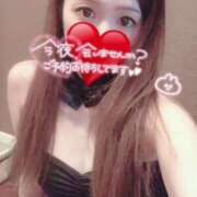 ヒメ日記 2025/06/16 17:06 投稿 アズ ドMなバニーちゃん すすきの店