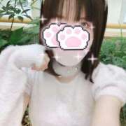 愛川 あいり (｡･ω･｡){ ろぐいん❣️ ハレ系 メイドin福岡