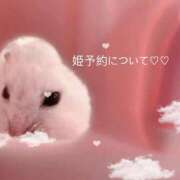 ヒメ日記 2025/05/10 17:01 投稿 くるみ MAHARAJA(マハラジャ)千葉