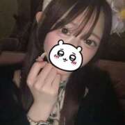 ヒメ日記 2025/07/05 17:09 投稿 くるみ MAHARAJA(マハラジャ)千葉