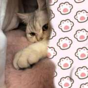 くるみ 今から🛁♡ MAHARAJA(マハラジャ)千葉