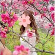 すずか（suzuka） 今年も行ってきました🌸 出張メンズエステ RELAX【DIVAグループ】