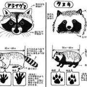 ヒメ日記 2025/01/11 12:11 投稿 たかこ One More奥様　八王子店