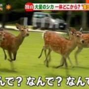 ヒメ日記 2025/02/23 16:22 投稿 たかこ One More奥様　八王子店