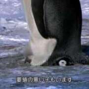 ヒメ日記 2025/03/07 12:04 投稿 たかこ One More奥様　八王子店