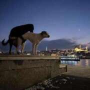 ヒメ日記 2025/06/24 12:13 投稿 たかこ One More奥様　八王子店