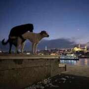 ヒメ日記 2025/09/26 12:23 投稿 たかこ One More奥様　八王子店