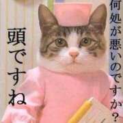 ヒメ日記 2025/10/23 12:13 投稿 たかこ One More奥様　八王子店