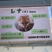 れな ( ∵ )🦊 ラッシュアワー