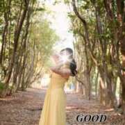 ヒメ日記 2025/03/27 09:00 投稿 かたせ 梨乃 熟女・人妻マダム宮殿