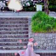 ヒメ日記 2025/04/09 15:40 投稿 かたせ 梨乃 熟女・人妻マダム宮殿