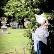 ヒメ日記 2025/06/01 07:30 投稿 かたせ 梨乃 熟女・人妻マダム宮殿