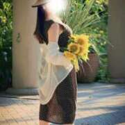 ヒメ日記 2025/09/19 08:30 投稿 かたせ 梨乃 熟女・人妻マダム宮殿