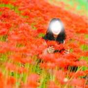 ヒメ日記 2025/10/05 12:16 投稿 かたせ 梨乃 熟女・人妻マダム宮殿