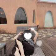 ヒメ日記 2025/10/09 07:31 投稿 かたせ 梨乃 熟女・人妻マダム宮殿