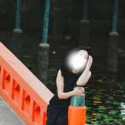 ヒメ日記 2025/11/27 15:01 投稿 かたせ 梨乃 熟女・人妻マダム宮殿