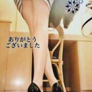 ヒメ日記 2025/12/28 17:33 投稿 かたせ 梨乃 熟女・人妻マダム宮殿