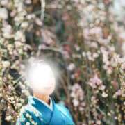 ヒメ日記 2026/03/10 07:31 投稿 かたせ 梨乃 熟女・人妻マダム宮殿