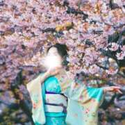 かたせ 梨乃 昨日はフル活動‼️ 熟女・人妻マダム宮殿