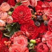 ヒメ日記 2025/11/05 14:17 投稿 渋谷 桃子 熟女・人妻マダム宮殿