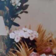 ヒメ日記 2025/11/13 10:26 投稿 渋谷 桃子 熟女・人妻マダム宮殿