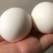 ヒメ日記 2025/03/15 11:15 投稿 すず Я’s SPEC2