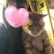 ヒメ日記 2025/03/19 11:45 投稿 すず Я’s SPEC2