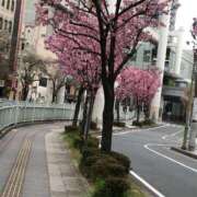 ヒメ日記 2025/03/29 11:15 投稿 すず Я’s SPEC2