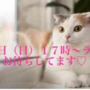 ヒメ日記 2025/03/29 15:15 投稿 すず Я’s SPEC2