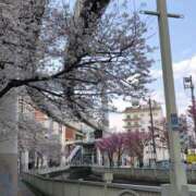 ヒメ日記 2025/03/31 12:15 投稿 すず Я’s SPEC2