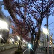 ヒメ日記 2025/03/31 18:56 投稿 すず Я’s SPEC2