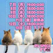 ヒメ日記 2025/04/07 20:57 投稿 すず Я’s SPEC2