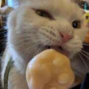 すず 春の〇〇祭り Я’s SPEC2