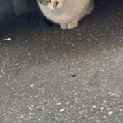 ヒメ日記 2026/03/09 14:40 投稿 すず Я’s SPEC2