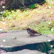 ヒメ日記 2025/10/05 17:00 投稿 りお【FG系列】 フィーリングin厚木【FG系列】