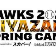 ヒメ日記 2024/02/05 23:20 投稿 なの ドMなバニーちゃん 白金・鶴舞店