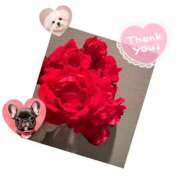 ヒメ日記 2025/05/03 21:23 投稿 りみ ラッシュアワー