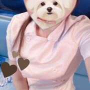 ヒメ日記 2025/09/07 21:55 投稿 りみ ラッシュアワー