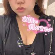 ヒメ日記 2026/08/26 10:30 投稿 うた 東京上野人妻援護会