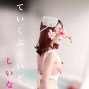 ヒメ日記 2025/09/29 11:19 投稿 しいな ていくぷらいど.学園