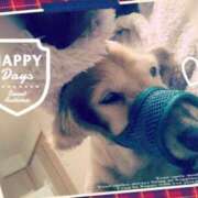 ヒメ日記 2024/12/12 10:55 投稿 木原るり 松戸人妻花壇