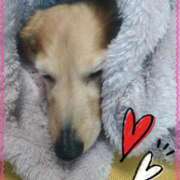 ヒメ日記 2025/03/05 15:53 投稿 木原るり 松戸人妻花壇