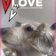 ヒメ日記 2025/03/06 08:19 投稿 木原るり 松戸人妻花壇