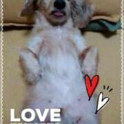 ヒメ日記 2025/03/13 22:20 投稿 木原るり 松戸人妻花壇