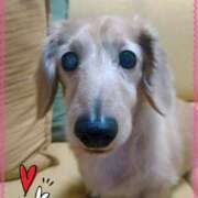 ヒメ日記 2025/03/17 08:36 投稿 木原るり 松戸人妻花壇