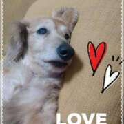 ヒメ日記 2025/03/19 08:07 投稿 木原るり 松戸人妻花壇