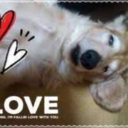 ヒメ日記 2025/03/28 07:42 投稿 木原るり 松戸人妻花壇